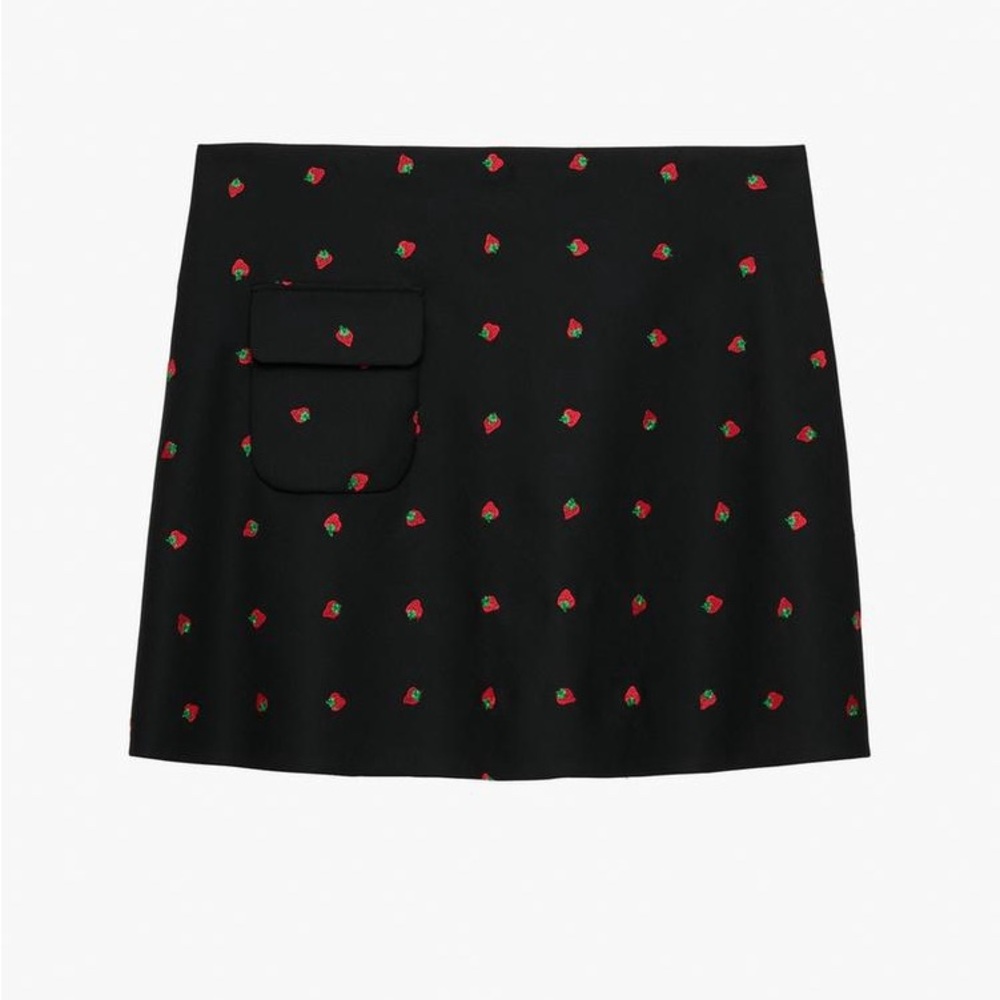 ZARA Wool Strawberry Skirt